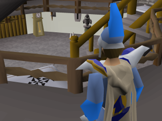 Magic Guild Store (Mystic Robes) in Old School RuneScape